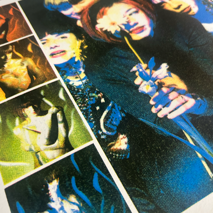 LUSH Screenprinted Poster